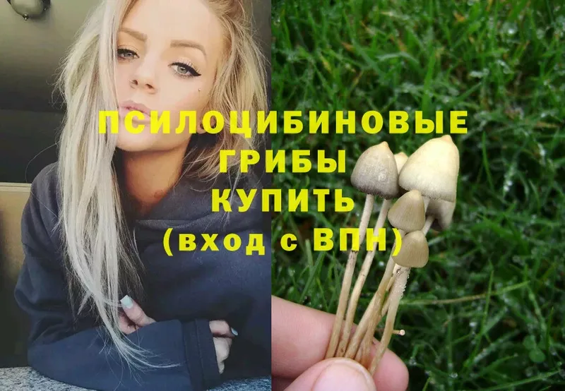 купить наркоту  Конаково  omg ССЫЛКА  Псилоцибиновые грибы Magic Shrooms 